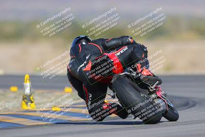 media/Dec-09-2023-SoCal Trackdays (Sat) [[76a8ac2686]]/Turn 14 Backside (1050am)/